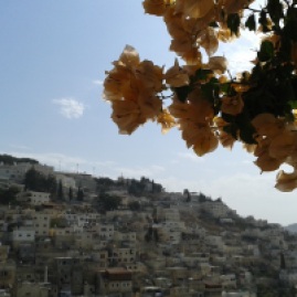 Dzielnica Silwan, Wschodnia Jerozolima, widok z Miasta Dawida